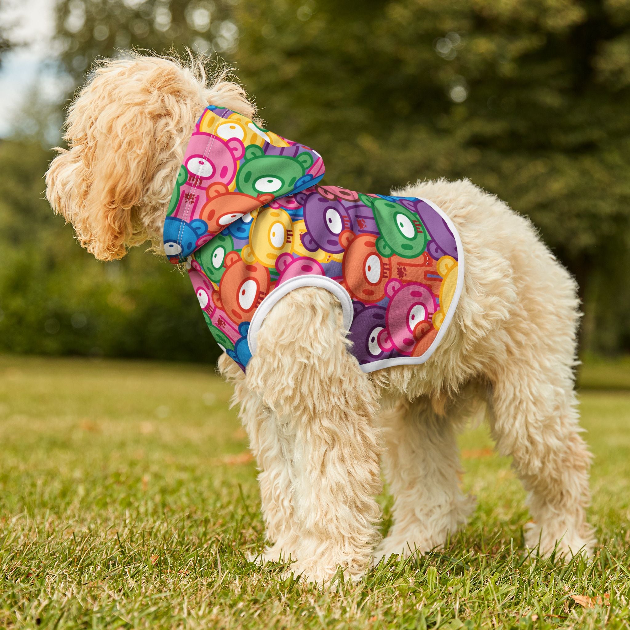 Gloomy Bear "Rainbow Dreams" Pet Hoodie
